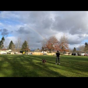 Meet your Posher, Jake